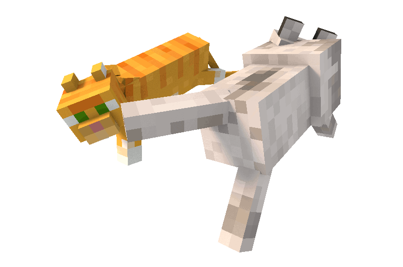Rede - MetaCraft
